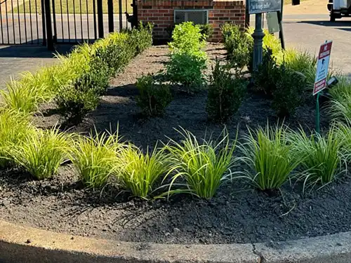 Landscape Installation, Memphis, TN Landscape Installation, Memphis, TN