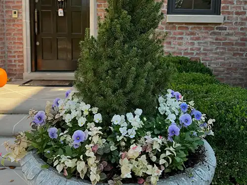 Landscape Services, Germantown, TN