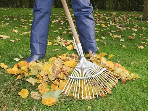 Leaf Removal, Memphis, TN Leaf Removal, Memphis, TN