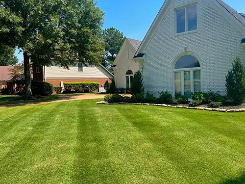 Turf Treatment, Memphis, TN Turf Treatment, Memphis, TN
