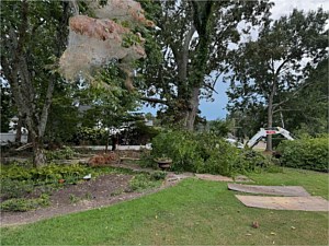 Landscape Maintenance