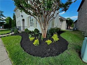 Photo 46
